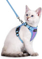 rabbitgoo Cat Harness and Leash Set, Escape Proof Soft Adjustable Vest Harnesses by rabbitgoo