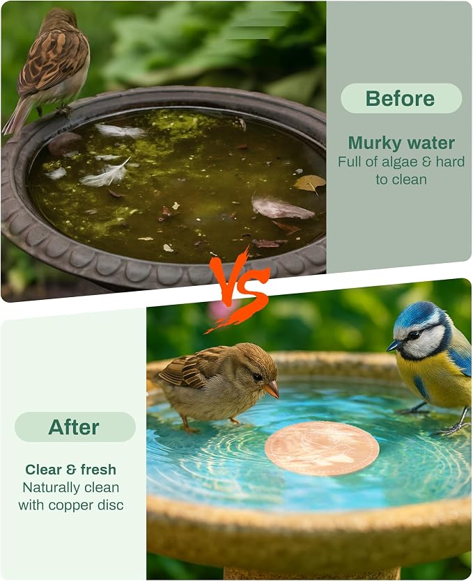Bird Bath Purification Disk Pure Copper Outdoor Winter Solar Power Birdbath - Image 3