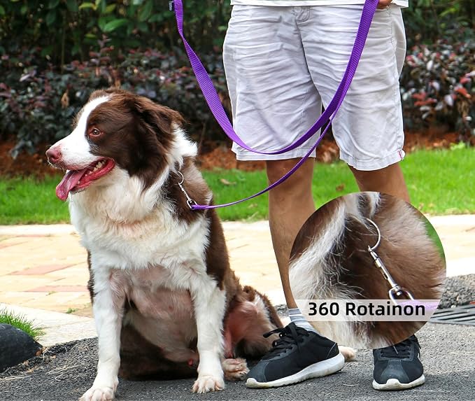 AMAGOOD Dog/Puppy Obedience Recall Training Agility Lead-15 ft 20 ft 30 ft 50 - Image 3