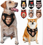 Custom Dog Bandana for Cat Dog Pet Add Your Design Personalized Neckwear by Custom