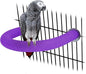 RYPET Parrot Perch Rough-surfaced by RYPET