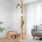 FUKUMARU Floor to Ceiling Cat Tree, 6 Level Adjustable Height Climbing Tower by FUKUMARU