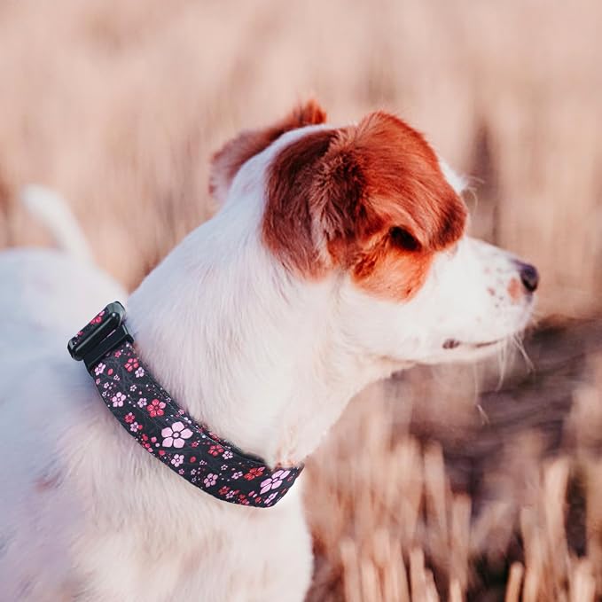 QQPETS Adjustable Soft Dog Collar: Print Flower Pink Multicolor Cute Patterns - Image 5