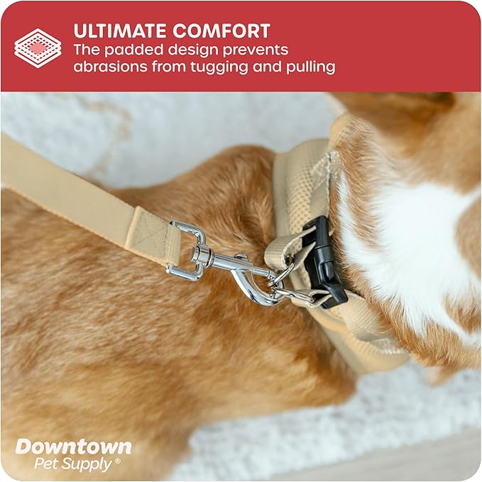 Downtown Pet Supply Step-in Dog Harness – No Pull, Adjustable Padded Mesh - Image 6