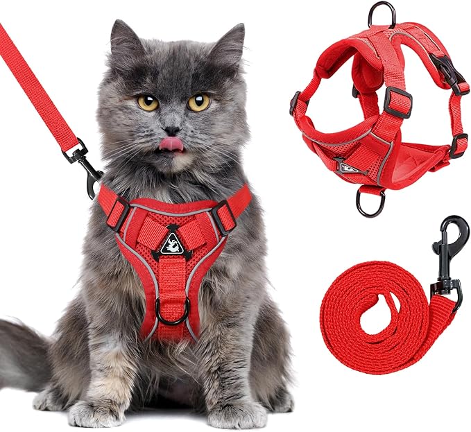 Large Cat Harness and Leash Set by GCVOPTON