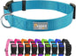 Dog Collar Light Blue Basic Dog Collars by Penseepet