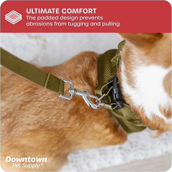 Downtown Pet Supply Step in Dog Harness No Pull, Hunter Green - Image 6