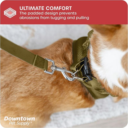 Downtown Pet Supply Step in Dog Harness No Pull, Hunter Green - Image 6