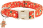 Faygarsle Christmas Dog Collar, Plastic Buckle by Faygarsle