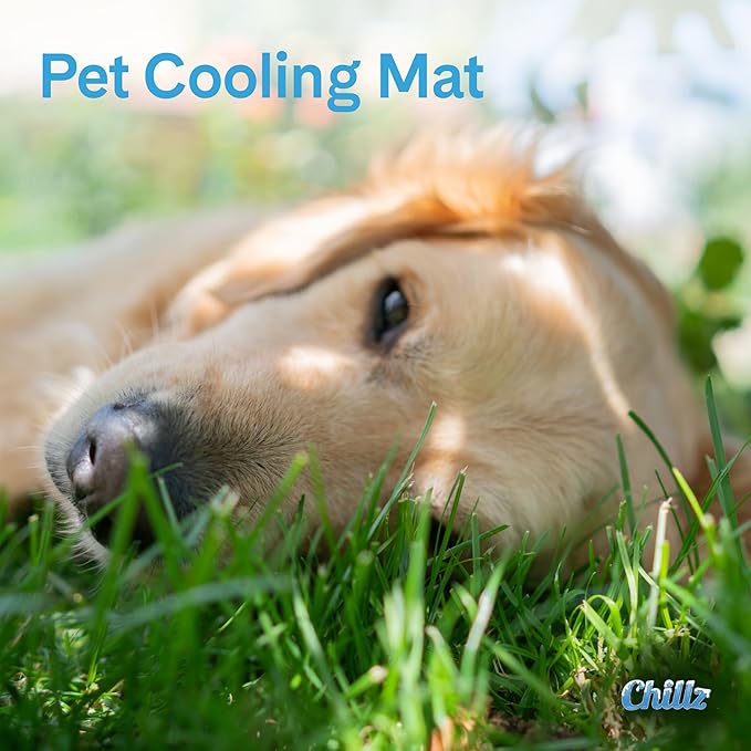 The Green Pet Shop Chillz Gel Mat, Medium - Image 3