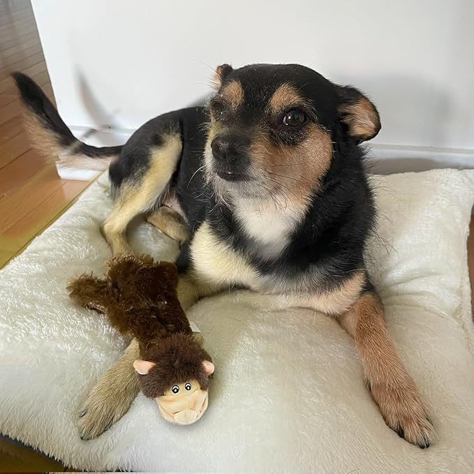 Best Pet Supplies Squeaky Dog Toys - Image 6
