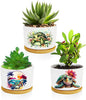 Turtle Succulent Pots 3 Pack, 3 Inch Succulent Planters by Databa