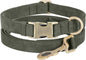 Genuine Leather Dog Collar by HOME