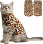 EXPAWLORER Soft Cat Sweater by EXPAWLORER
