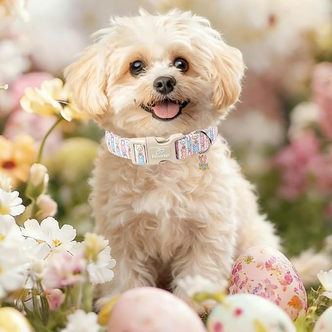 Easter Dog Collar for Medium Dogs - Image 2