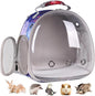 Guinea Pig Carrier Backpack, Bearded Dragon Backpack, Reptile Lizard Clear by Pimoka
