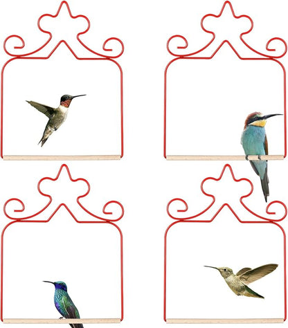 Hummingbird Swings 4 Pack, Rust Resistant Metal Frame by EYROSA