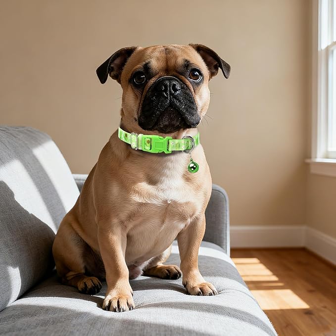 Small Dog Collar with Bell - Image 5