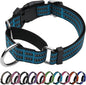 Martingale Dog Collar, Adjustable Nylon Reflective Collar by JOYEEIIOO