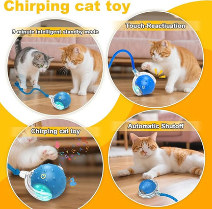 Interactive Cat Toys Ball for indoor Cats＆Dog, Automatic Cat Toy - Image 3