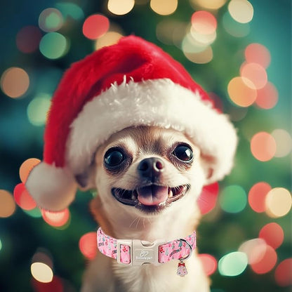 Christmas Dog Collar for Giant Large Dogs - Image 2