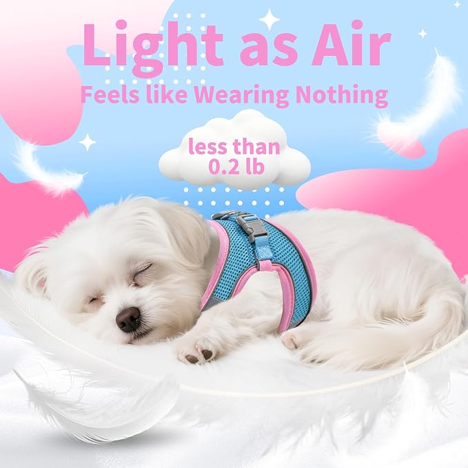 AIITLE Dog Harness, No-Pull Cat Harness - Image 4
