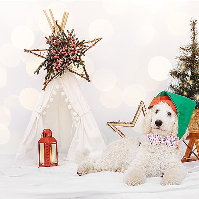 Christmas Dog Collar - Image 5