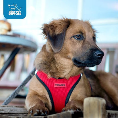 Best Pet Supplies Voyager Step-in Air Harness - Image 10