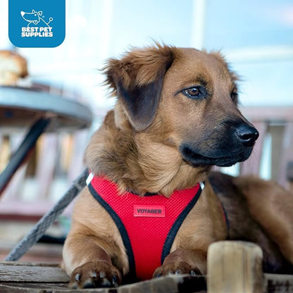 Best Pet Supplies Voyager Step-in Air Harness - Image 11