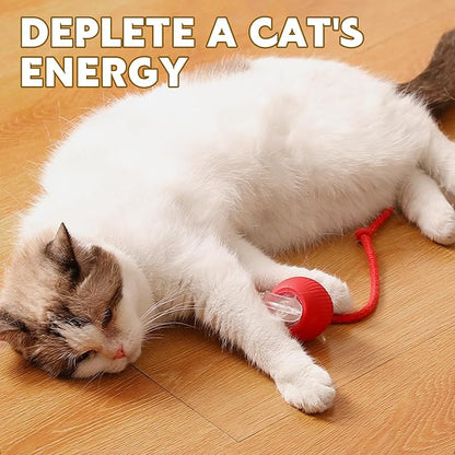 Chewie Viral Rolling Pet Ball, Interactive Cat & Dog Toy, 360 Smart Automatic - Image 7