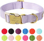 Nylon Dog Collar by Babolepet