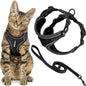 Voyager Escape-Proof Step-in Lock Cat Harness & 5ft Neoprene-Handle Leash Set by BestPetSuppliesLLC