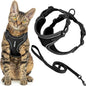 Voyager Escape-Proof Step-in Lock Cat Harness & 5ft Neoprene-Handle Leash Set by BestPetSuppliesLLC