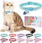 Rhinestone Cat Collar Breakaway by DILLYBUD