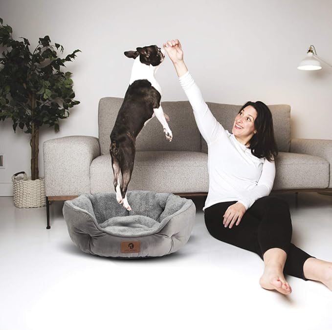 Asvin Medium Dog Bed for Medium Dogs, Cat Beds for Indoor Cats, Pet Bed for - Image 5