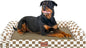 Large Dog Bed Orthopedic Washable: Beds Bolster XXL Bed Big XLarge Dogs Egg by Nanuya