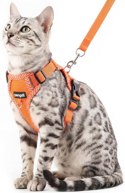 Cat Harness and Leash Escape Proof Large Kitten Harness Ragdoll Cat Vest by pangdi