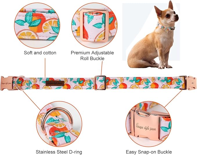 Unique style paws Dog Collar Metal Buckle Gift - Image 2