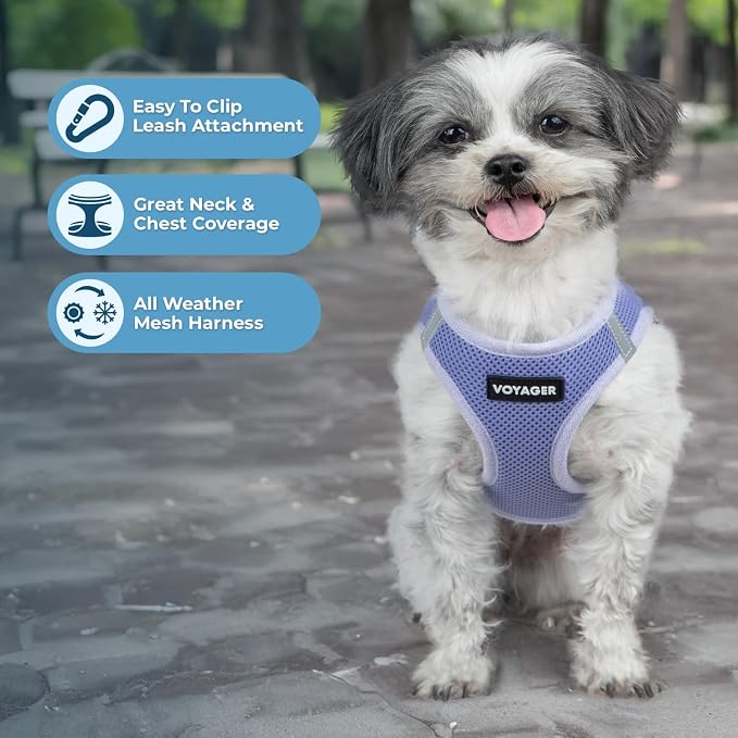 Best Pet Supplies Voyager Step-in Air Harness - Image 3
