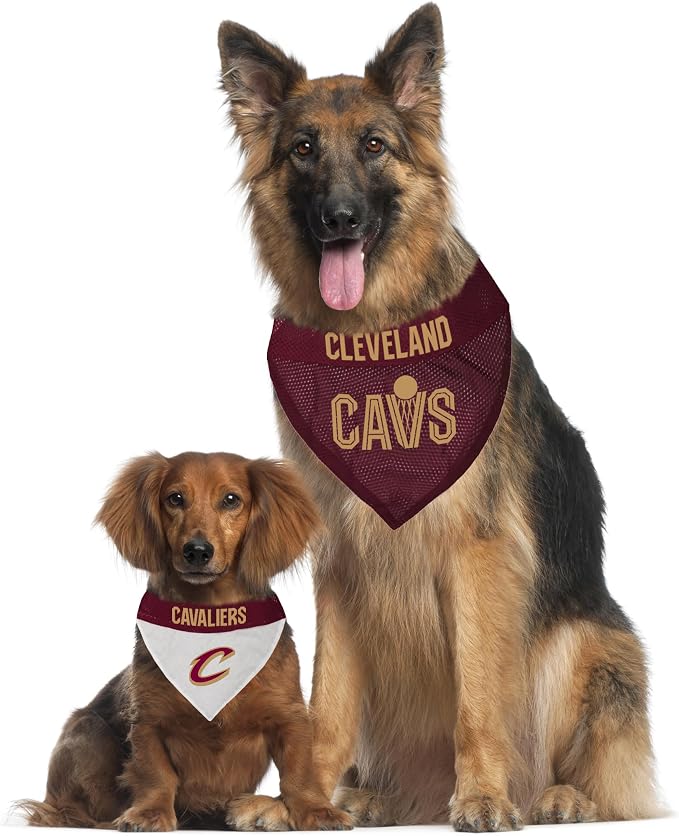 Pets First NBA Dog Bandana - Image 5