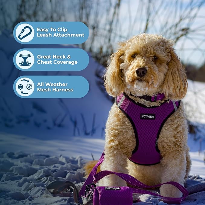 Best Pet Supplies Voyager Step-in Air All Weather Mesh Harness and Reflective - Image 6