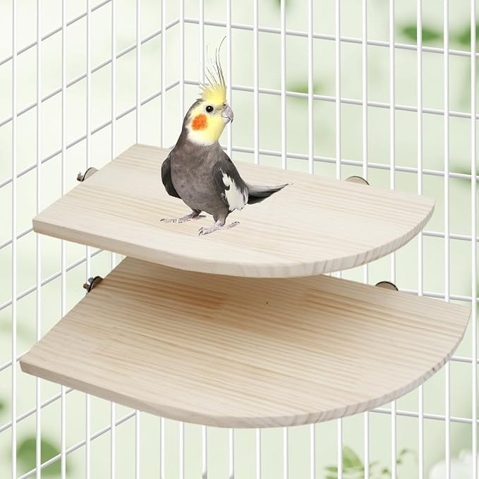 Bird Perch Stand Platform, 15.7 × 10.2 Inch Large Natural Wooden Small Animals - Image 5