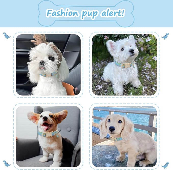Dinosaur Dog Collar for Small Dogs, Cute Puppy Collars - Image 3