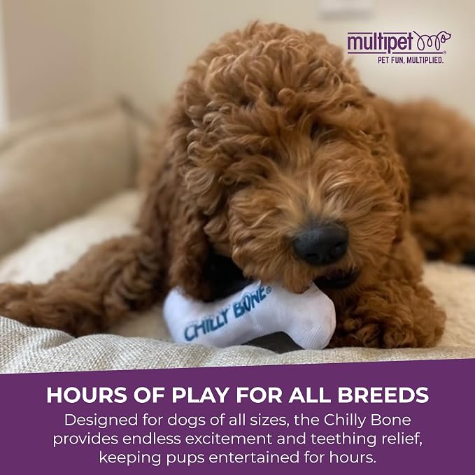 Multipet Chilly Bone Dog Toy - Image 8