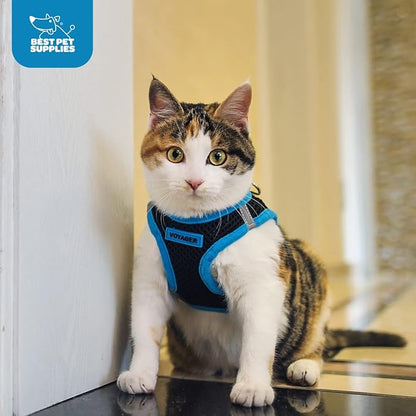 Best Pet Supplies - Image 10