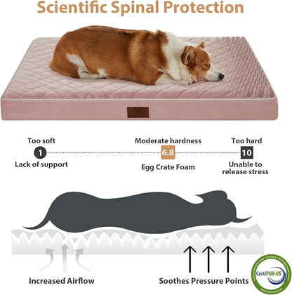 WNPETHOME Orthopedic Big Dog Beds Large Sized Dog, Waterproof Extra Large Dogs - Image 3
