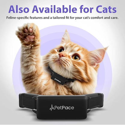 NEW Dog Health Monitor V3.0 by PetPace – AI Smart Collar - Image 8