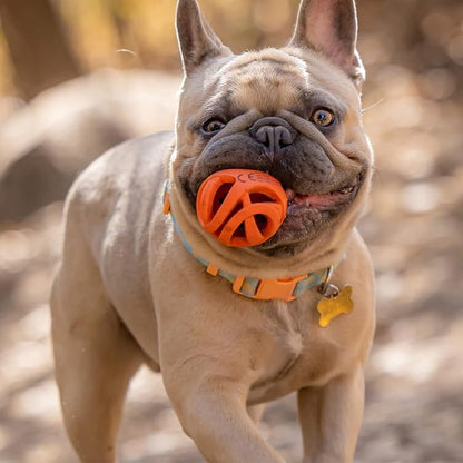 Chuckit! Air Fetch Ball Dog Toy, - Image 4
