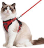 rabbitgoo Cat Harness and Leash by rabbitgoo