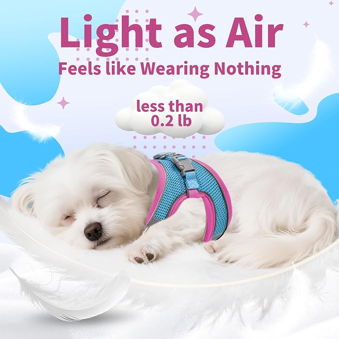 AIITLE Dog Harness, No-Pull Cat Harness - Image 5